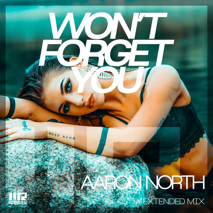 Aaron North - Won't Forget You [505971 3219181]
